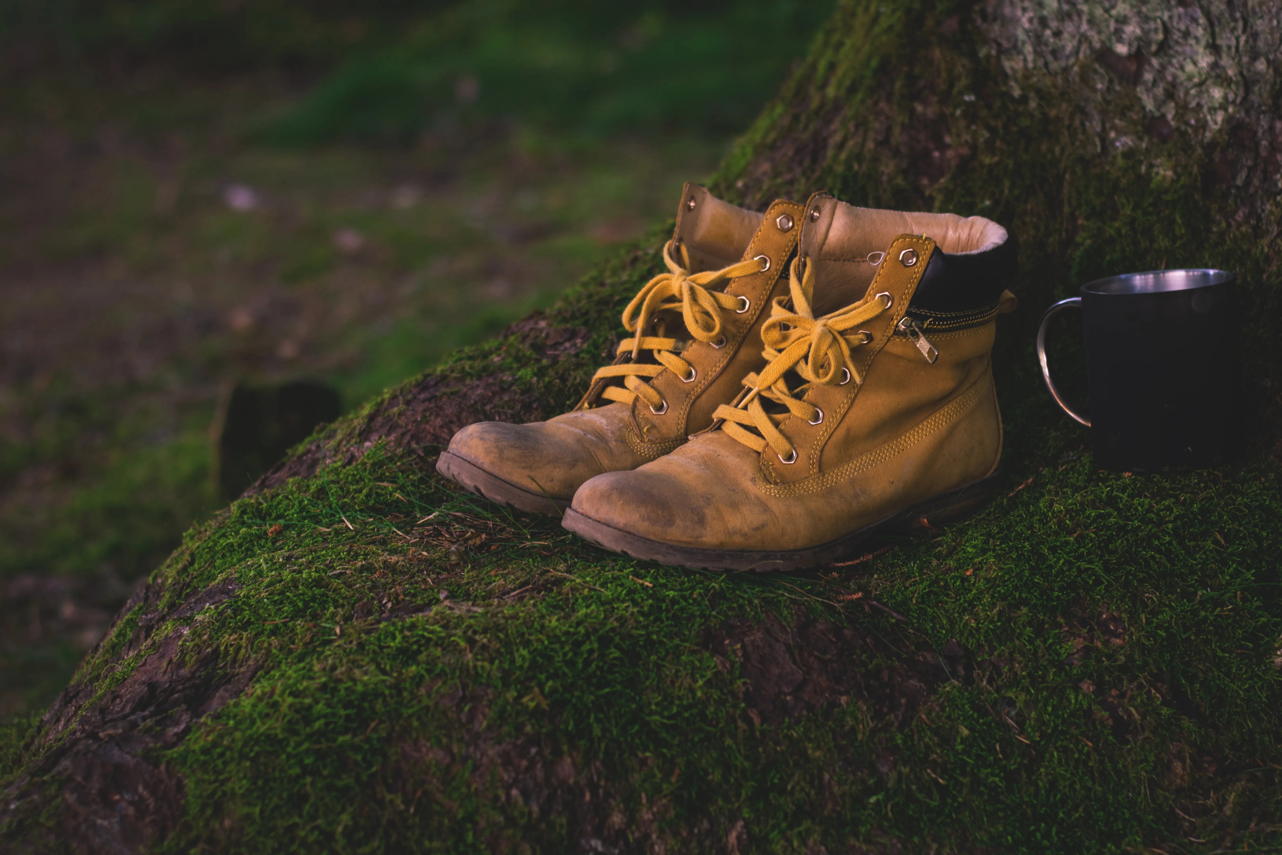 Des chaussures de randonnées sur une souche d'arbre à côté d'une tasse. Source Pixabay
