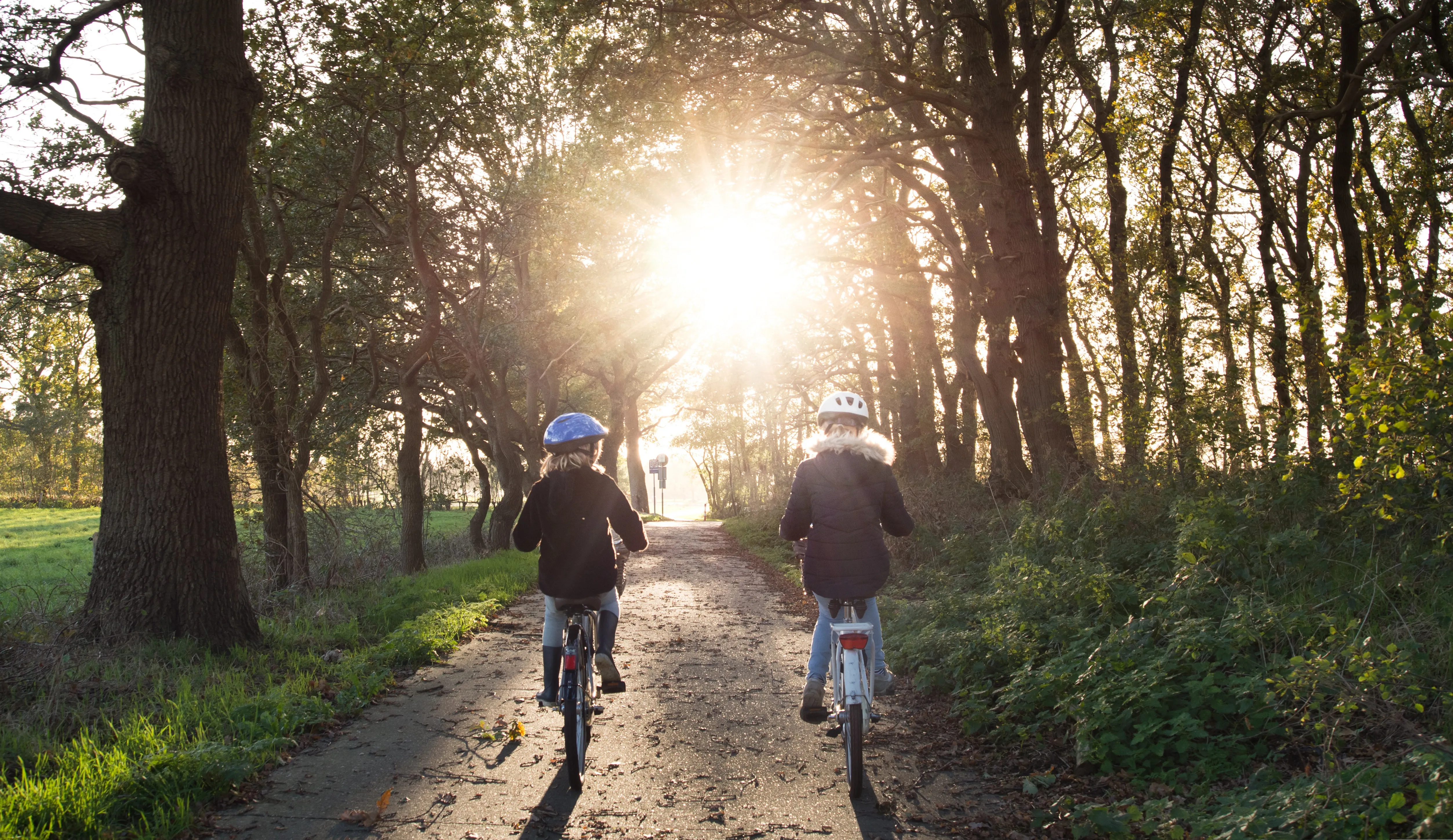 2 cyclistes en forêt. Source Pixabay